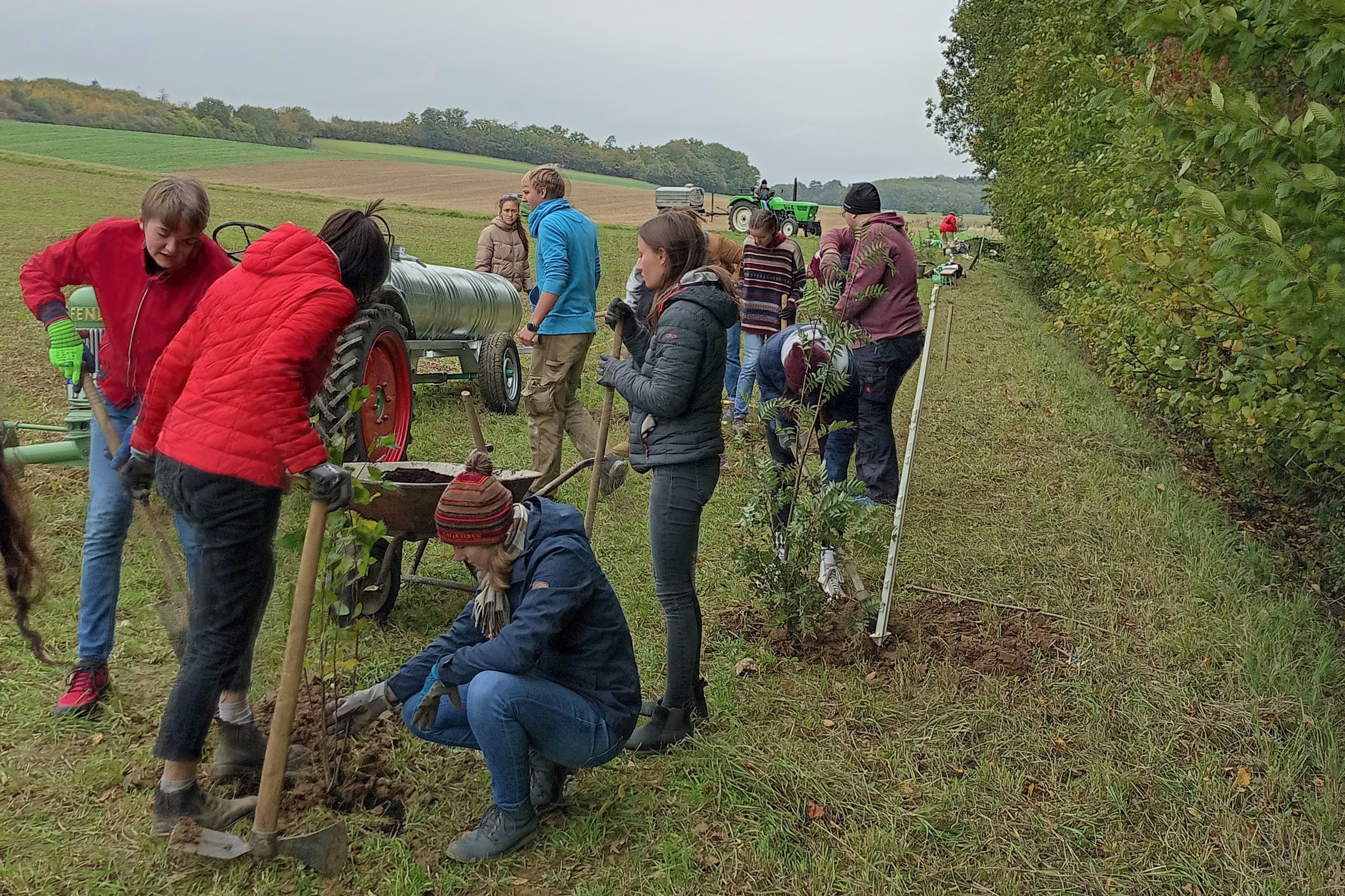 BGB Pflanzaktion Okt21 Umwelt AG 3