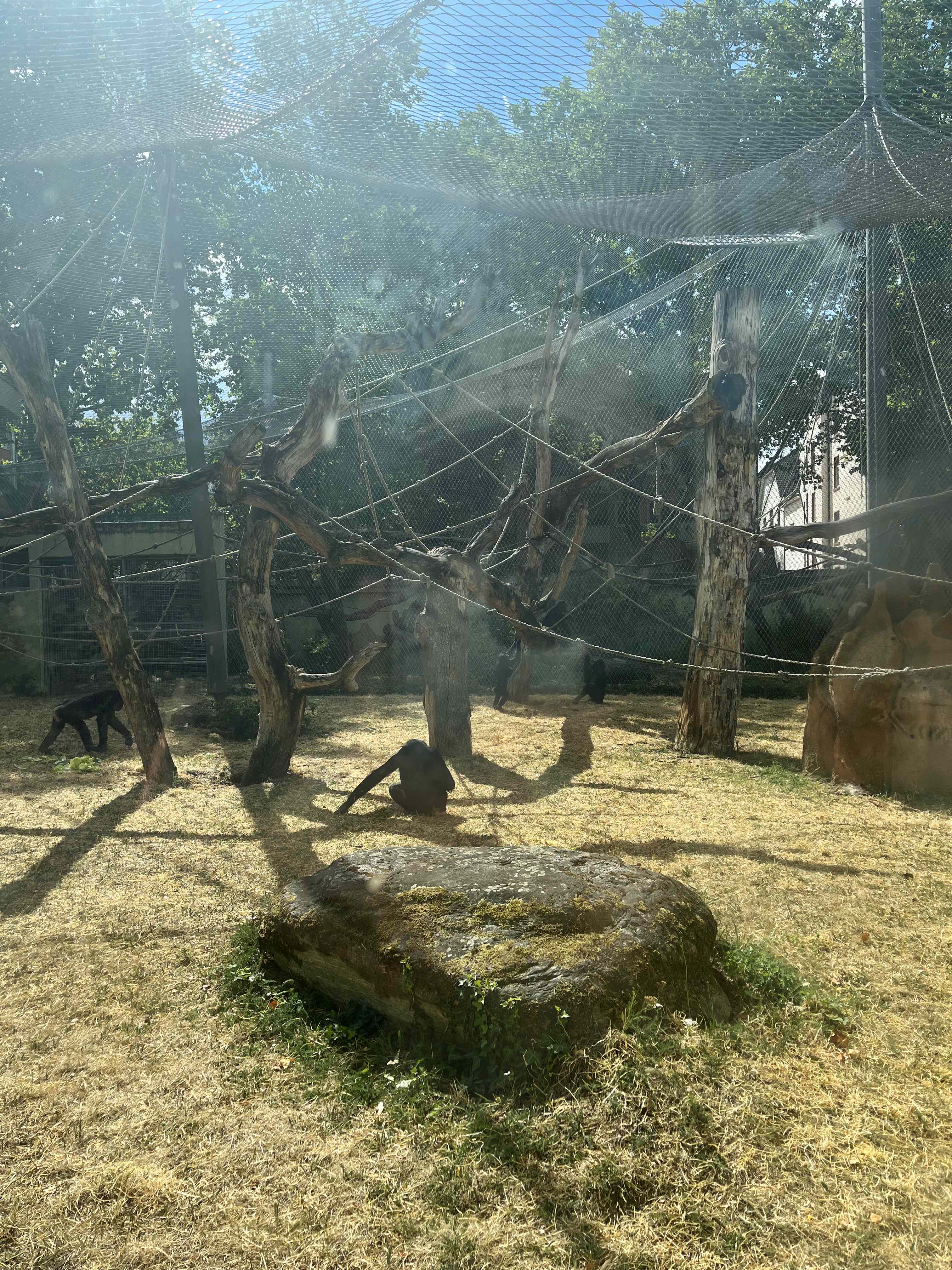 22 08 04 zoobesuch klasse 5