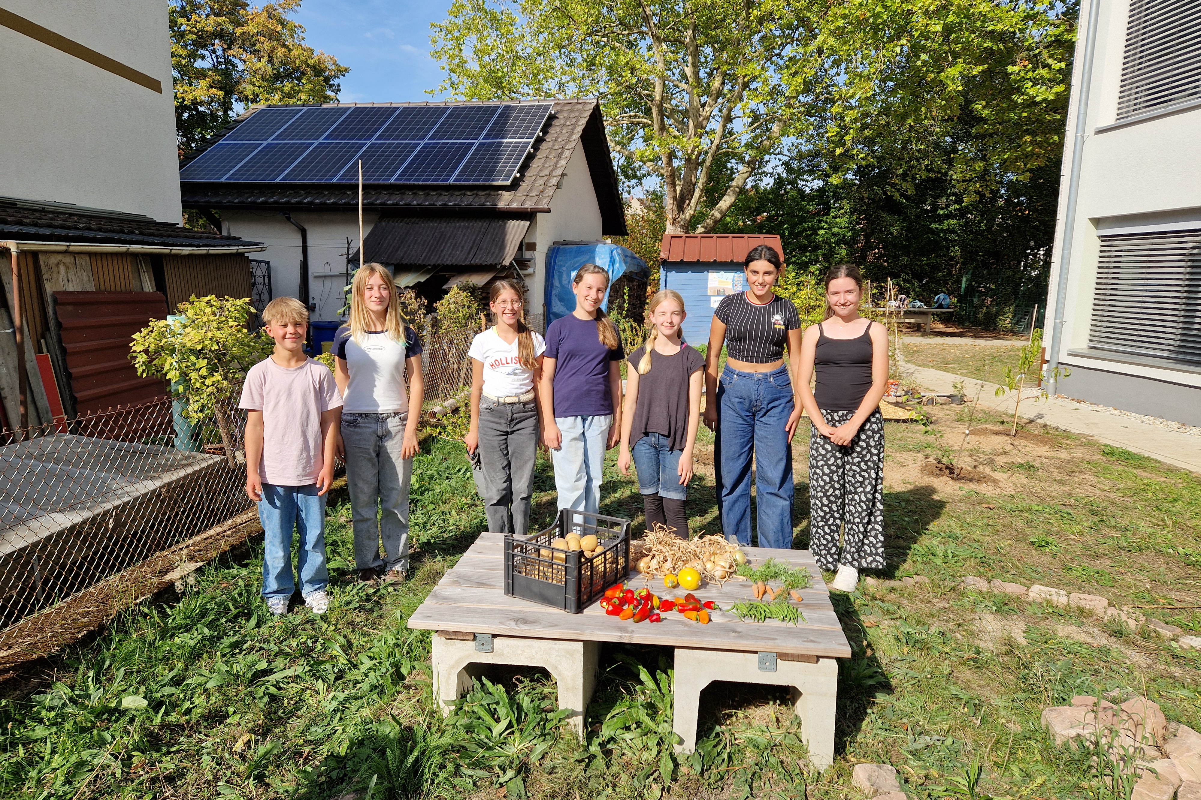 Erfolgreiche Ernte trotz trockenem Sommer