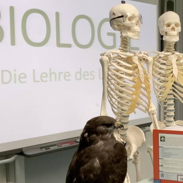 Fach: Biologie